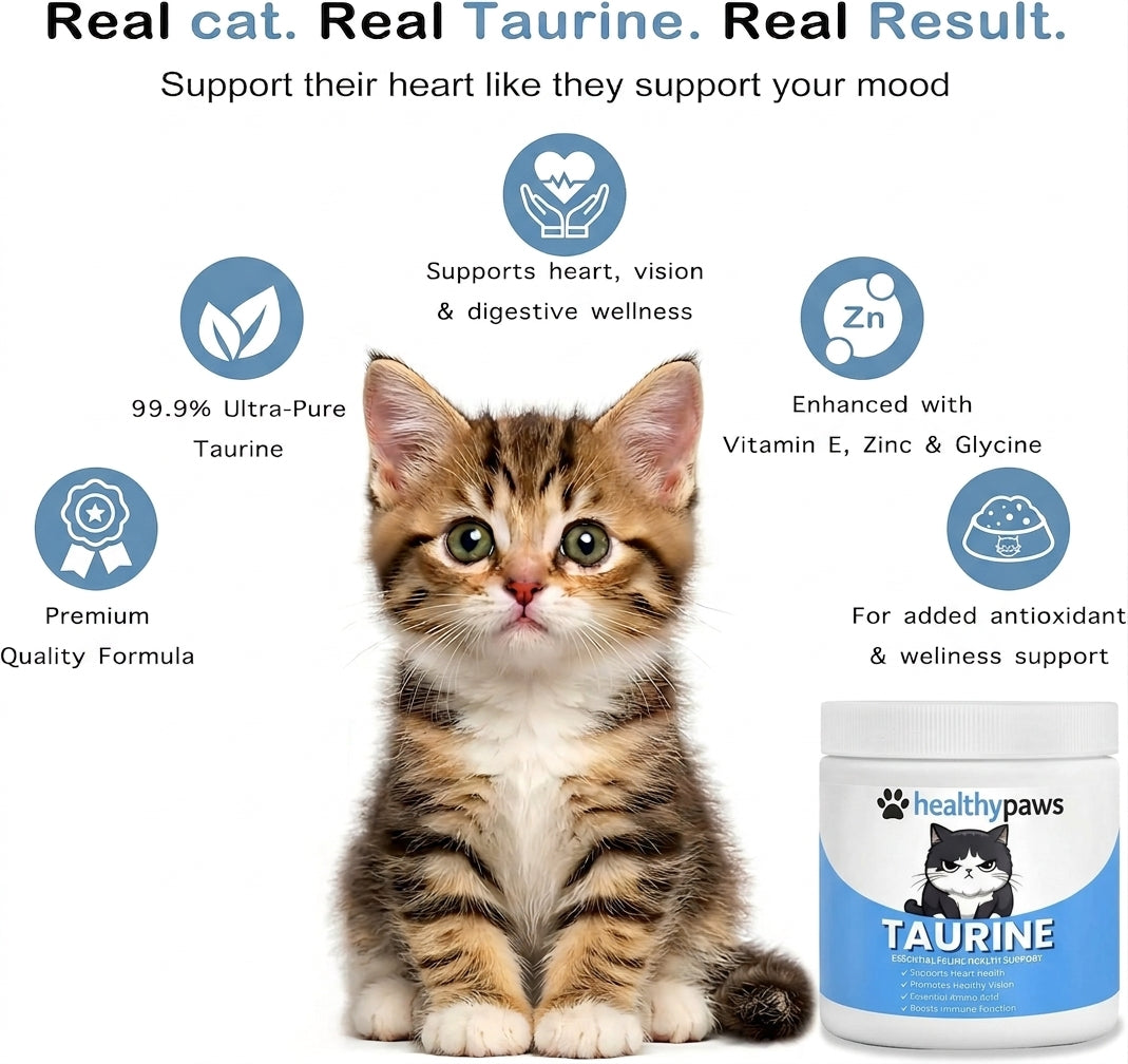 Stop the Silent Deficiency Before You See the Signs with KittySupps™ Taurine Supplement