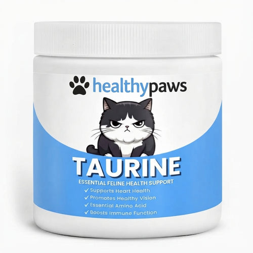 Stop the Silent Deficiency Before You See the Signs with KittySupps™ Taurine Supplement