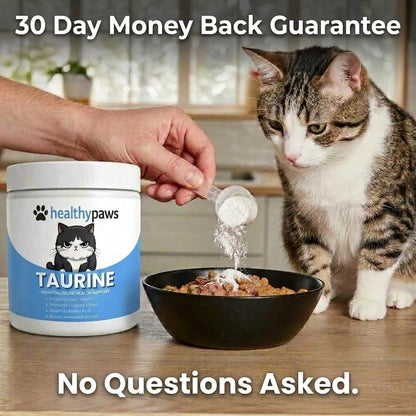 Stop the Silent Deficiency Before You See the Signs with KittySupps™ Taurine Supplement